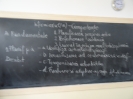 Seminarii